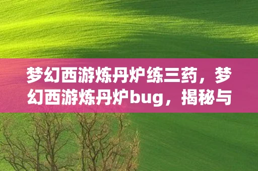 梦幻西游炼丹炉练三药,梦幻西游炼丹炉bug,揭秘与应对 梦幻西游炼丹炉练三药,梦幻西游炼丹炉bug,揭秘与应对