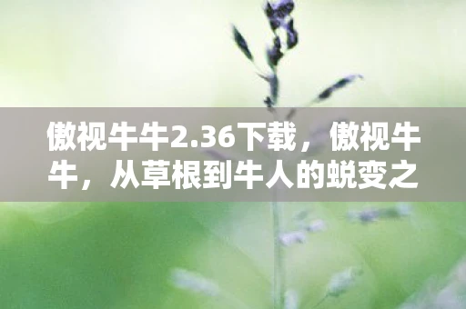 傲视牛牛2.36下载，傲视牛牛，从草根到牛人的蜕变之路