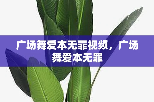 广场舞爱本无罪视频,广场舞爱本无罪 广场舞爱本无罪视频,广场舞爱本无罪