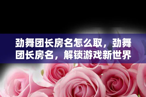 劲舞团长房名怎么取，劲舞团长房名，解锁游戏新世界的神秘钥匙