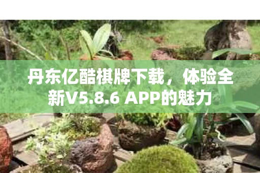 丹东亿酷棋牌下载图片