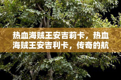 热血海贼王安吉莉卡，热血海贼王安吉利卡，传奇的航海与梦想