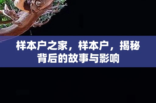 样本户之家,样本户,揭秘背后的故事与影响 样本户之家,样本户,揭秘背后的故事与影响