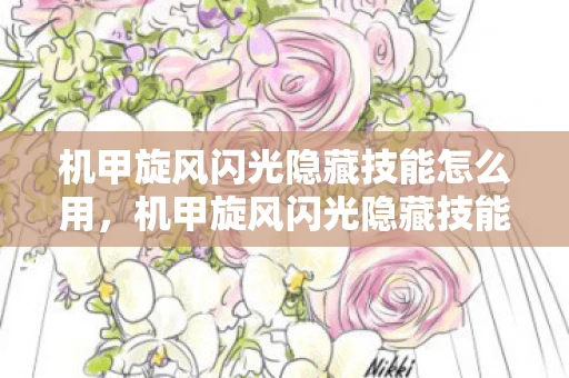 机甲旋风闪光隐藏技能怎么用，机甲旋风闪光隐藏技能揭秘，解锁未知战斗能力