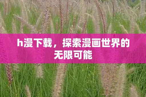 h漫下载，探索漫画世界的无限可能