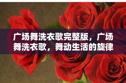 广场舞洗衣歌完整版，广场舞洗衣歌，舞动生活的旋律