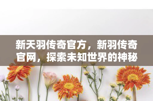 新天羽传奇官方，新羽传奇官网，探索未知世界的神秘门户