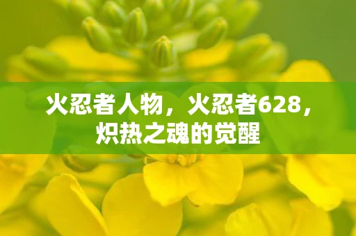 火忍者人物,火忍者628,炽热之魂的觉醒 火忍者人物,火忍者628,炽热之魂的觉醒
