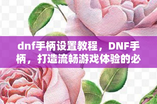 dnf手柄设置教程，DNF手柄，打造流畅游戏体验的必备神器