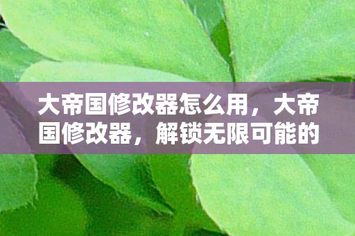 大帝国修改器怎么用，大帝国修改器，解锁无限可能的帝国建造之旅