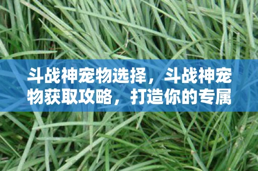 斗战神宠物选择，斗战神宠物获取攻略，打造你的专属战斗伙伴