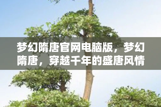 梦幻隋唐官网电脑版，梦幻隋唐，穿越千年的盛唐风情