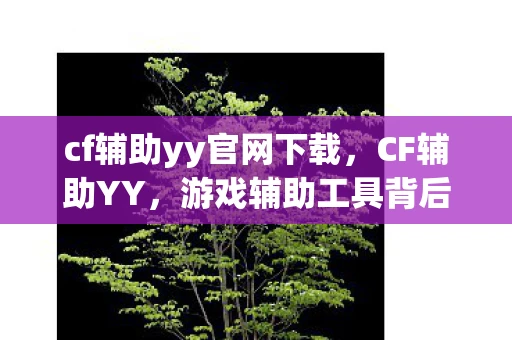 cf辅助yy官网下载,CF辅助YY,游戏辅助工具背后的真相与风险 cf辅助yy官网下载,CF辅助YY,游戏辅助工具背后的真相与风险