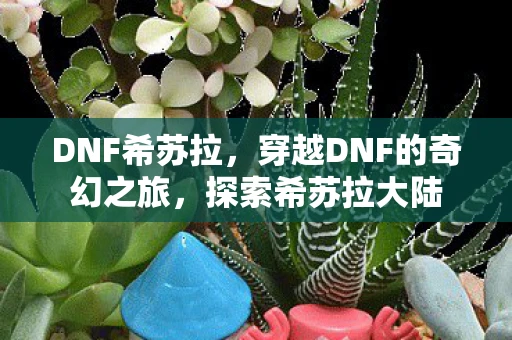 DNF希苏拉，穿越DNF的奇幻之旅，探索希苏拉大陆