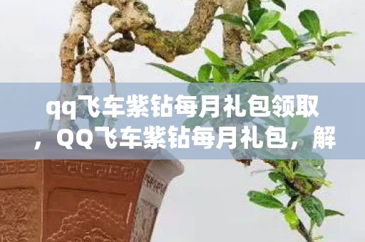 qq飞车紫钻每月礼包领取,QQ飞车紫钻每月礼包,解锁速度与激情的钥匙 qq飞车紫钻每月礼包领取,QQ飞车紫钻每月礼包,解锁速度与激情的钥匙