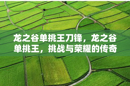 龙之谷单挑王刀锋,龙之谷单挑王,挑战与荣耀的传奇 龙之谷单挑王刀锋,龙之谷单挑王,挑战与荣耀的传奇