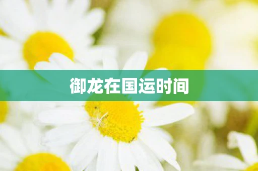 御龙在国运时间