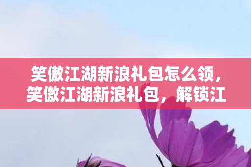 笑傲江湖新浪礼包怎么领，笑傲江湖新浪礼包，解锁江湖之旅的必备神器