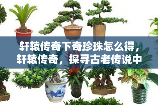 轩辕传奇下奇珍珠怎么得，轩辕传奇，探寻古老传说中的奇珍异宝