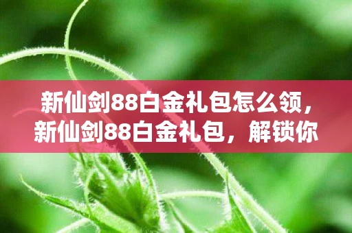 新仙剑88白金礼包怎么领,新仙剑88白金礼包,解锁你的仙侠之旅 新仙剑88白金礼包怎么领,新仙剑88白金礼包,解锁你的仙侠之旅