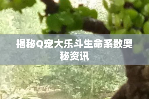 揭秘Q宠大乐斗生命系数奥秘资讯图片