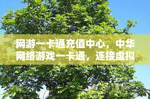 网游一卡通充值中心，中华网络游戏一卡通，连接虚拟与现实的桥梁