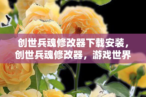 创世兵魂修改器下载安装，创世兵魂修改器，游戏世界的双刃剑