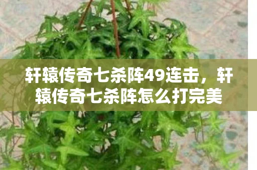 轩辕传奇七杀阵49连击，轩辕传奇七杀阵怎么打完美