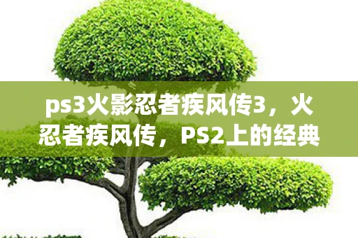 ps3火影忍者疾风传3，火忍者疾风传，PS2上的经典之作