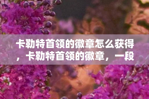 卡勒特首领的徽章怎么获得，卡勒特首领的徽章，一段传奇的追寻