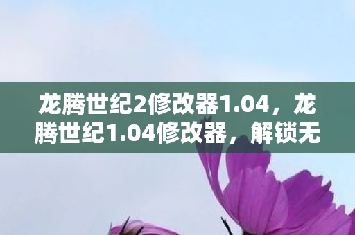 龙腾世纪2修改器1.04，龙腾世纪1.04修改器，解锁无限可能的冒险之旅