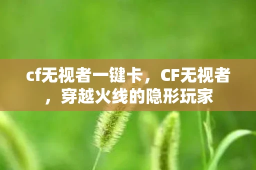 cf无视者一键卡,CF无视者,穿越火线的隐形玩家 cf无视者一键卡,CF无视者,穿越火线的隐形玩家