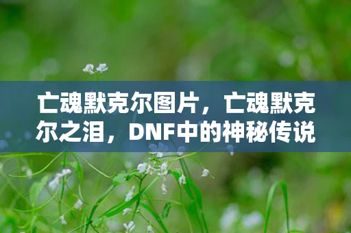 亡魂默克尔图片，亡魂默克尔之泪，DNF中的神秘传说