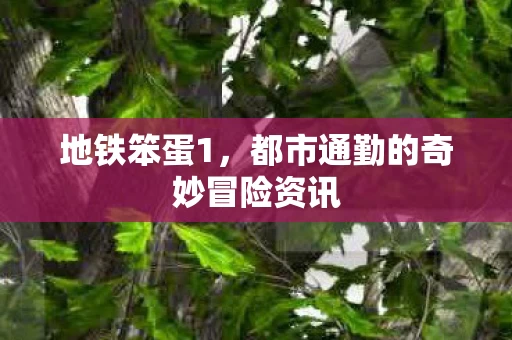 都市通勤的奇妙冒险资讯图片
