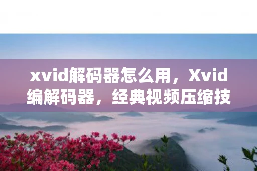 xvid解码器怎么用,Xvid编解码器,经典视频压缩技术的传奇 xvid解码器怎么用,Xvid编解码器,经典视频压缩技术的传奇