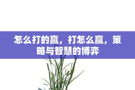 怎么打的赢，打怎么赢，策略与智慧的博弈