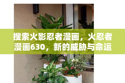 搜索火影忍者漫画，火忍者漫画630，新的威胁与命运的交织