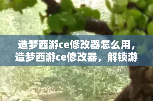 造梦西游ce修改器怎么用，造梦西游ce修改器，解锁游戏新境界的利器