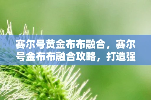 赛尔号黄金布布融合，赛尔号金布布融合攻略，打造强力精灵的秘诀