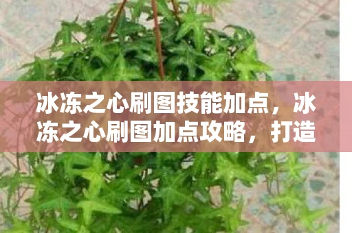 冰冻之心刷图技能加点，冰冻之心刷图加点攻略，打造高效战斗力的关键