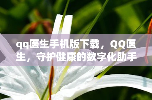 qq医生手机版下载，QQ医生，守护健康的数字化助手