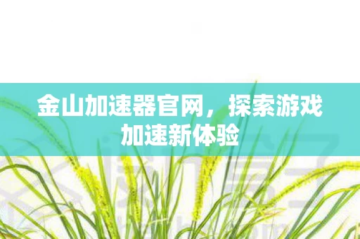 探索游戏加速新体验图片
