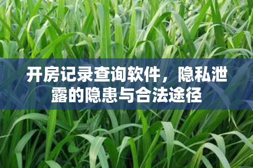 开房记录查询软件,隐私泄露的隐患与合法途径 开房记录查询软件,隐私泄露的隐患与合法途径