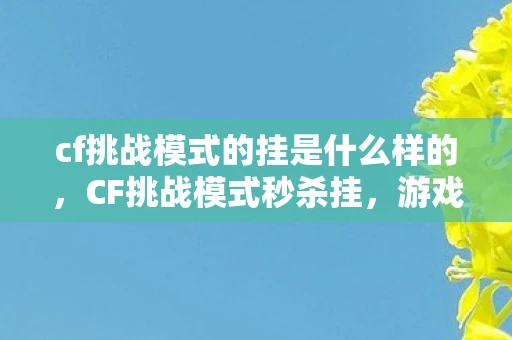 cf挑战模式的挂是什么样的,CF挑战模式秒杀挂,游戏平衡与道德边界的探讨 cf挑战模式的挂是什么样的,CF挑战模式秒杀挂,游戏平衡与道德边界的探讨