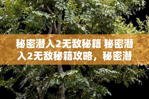 秘密潜入2无敌秘籍 秘密潜入2无敌秘籍攻略，秘密潜入2无敌秘籍，解锁游戏高手的隐藏技能