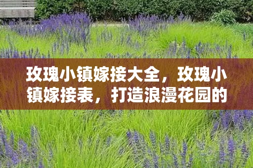 玫瑰小镇嫁接大全，玫瑰小镇嫁接表，打造浪漫花园的秘诀