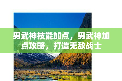 男武神技能加点，男武神加点攻略，打造无敌战士