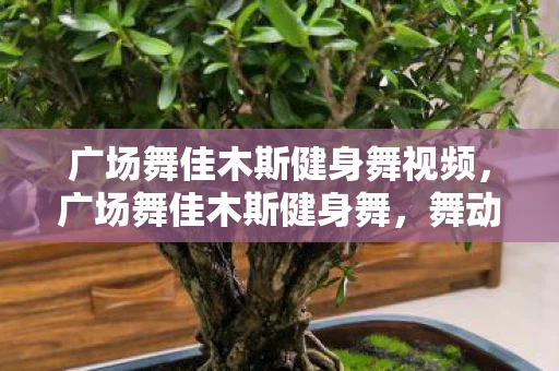 广场舞佳木斯健身舞视频，广场舞佳木斯健身舞，舞动健康，乐享生活