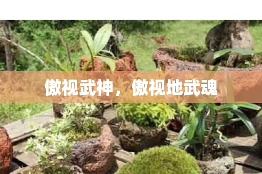 傲视武神,傲视地武魂 傲视武神,傲视地武魂