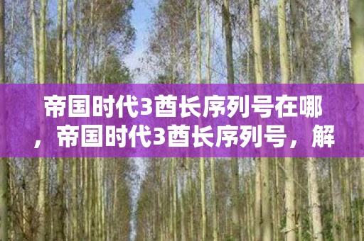 帝国时代3酋长序列号在哪，帝国时代3酋长序列号，解锁游戏新世界的钥匙